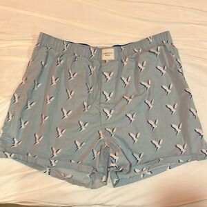 American Eagle Outfitters Light Blue Boxers with Bird Print